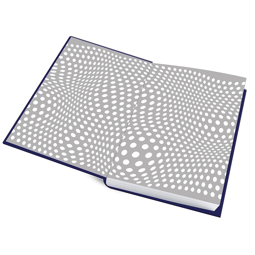 Relativity: The Special And The General Theory (Deluxe Hardbound Edition) - Image 3